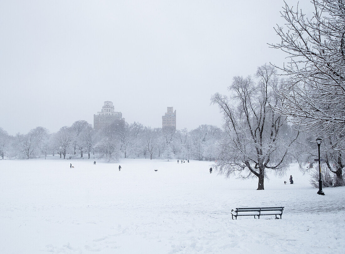 Mit Schnee bedeckte Bank und kahle Bäume im Brooklyn Prospect Park