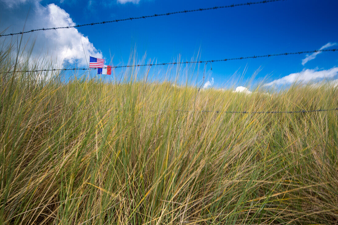 American and French flags fly above grass at Utah Beach, Normandy, France, symbolizing World War II and peace.