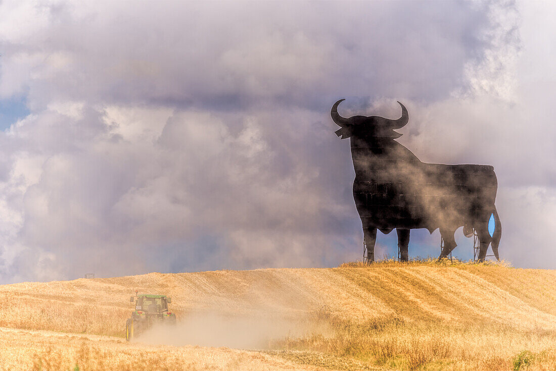 Ein Traktor erntet Weizen auf einem Feld und wirbelt Staub auf, als er vor dem berühmten Osborne-Stier, einem Wahrzeichen von Sevilla, Spanien, vorbeifährt.