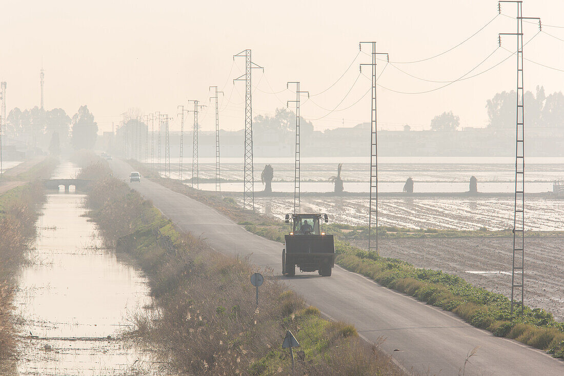 Morgennebel über den Reisfeldern der Isla Mayor in Sevilla, Spanien, der die ländliche Landschaft und die landwirtschaftlichen Aktivitäten zeigt.