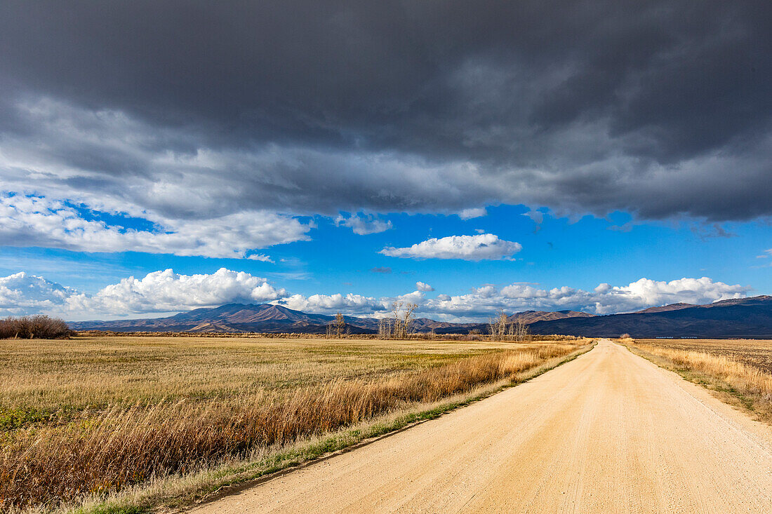 Dark storm clouds over dirt road crossing field