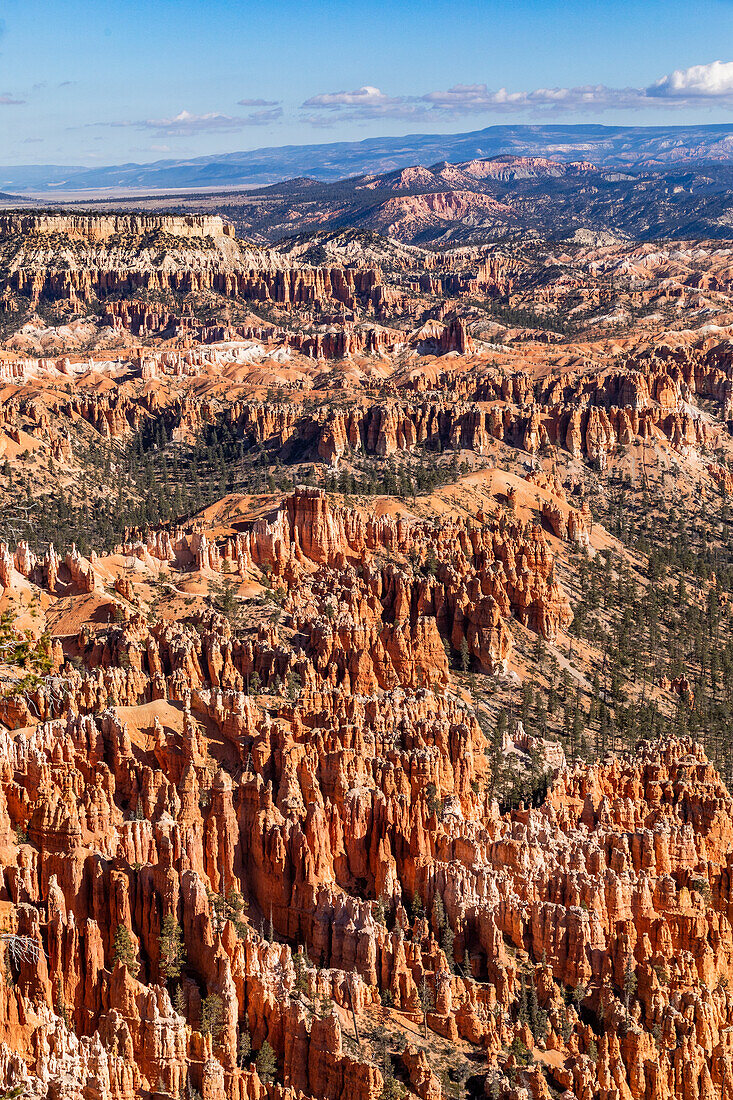 Sandstone rock formations in Bryce Canyon National Park