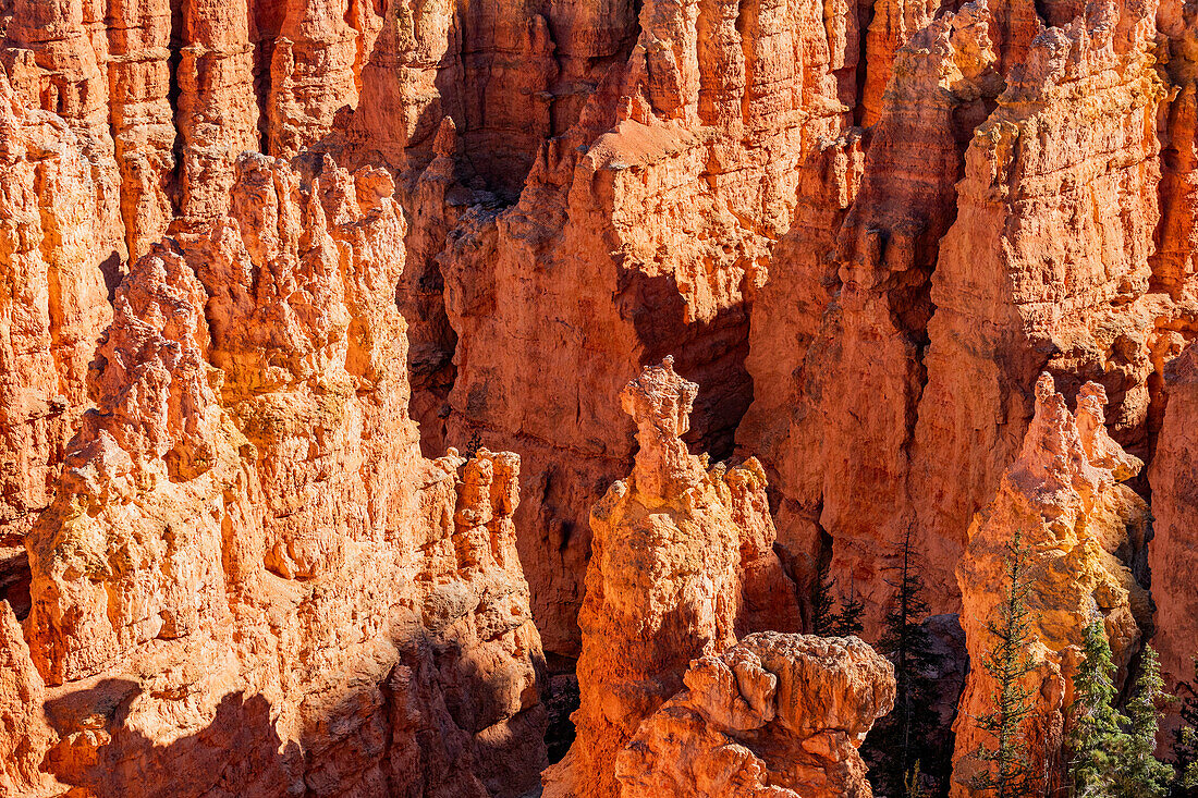 Close-up of hoodoos in Bryce Canyon National Park