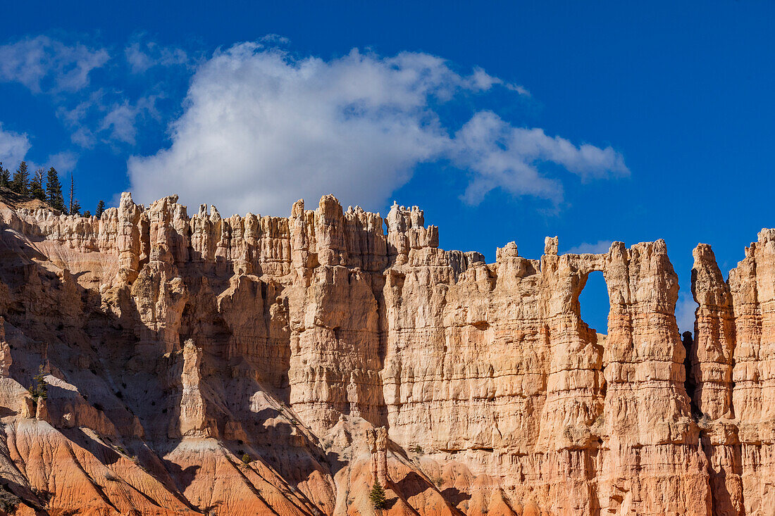 Sandsteinfelsen im Bryce Canyon-Nationalpark