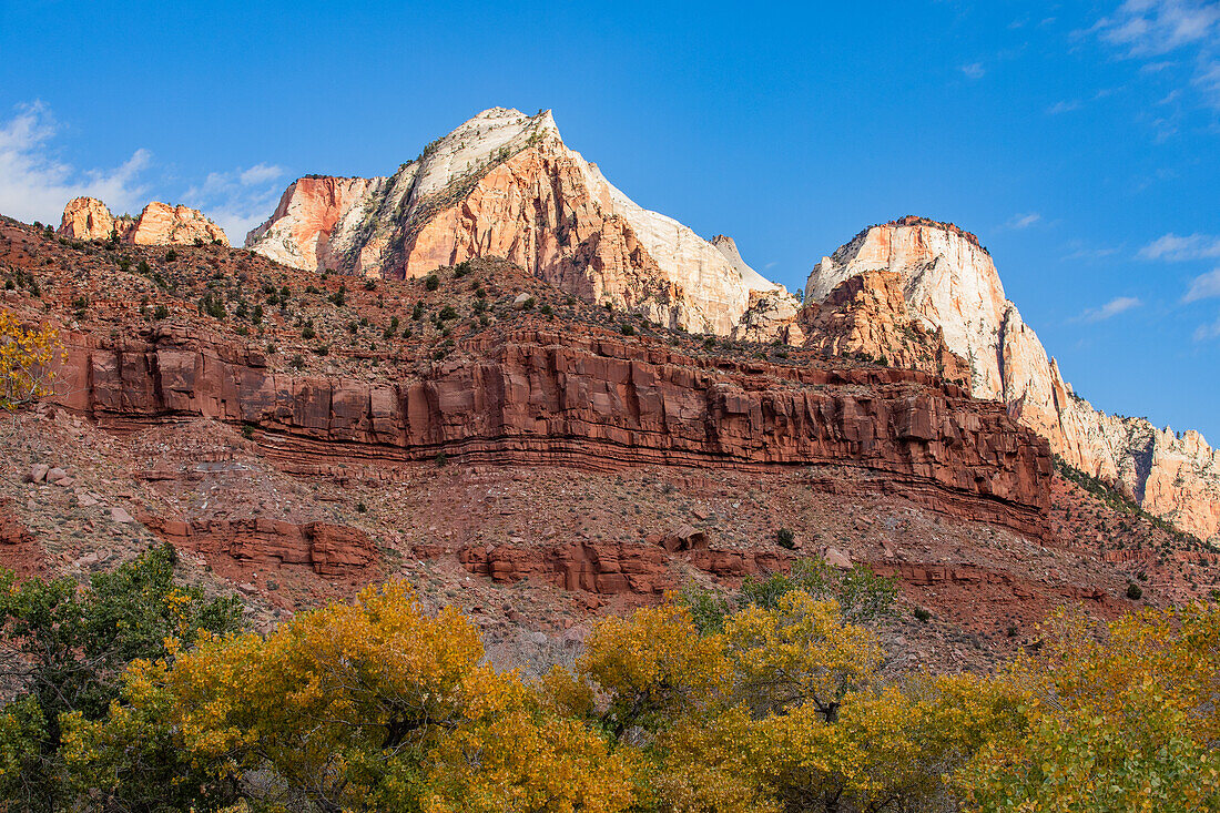 Cliffs and trees in Zion National Park in autumn