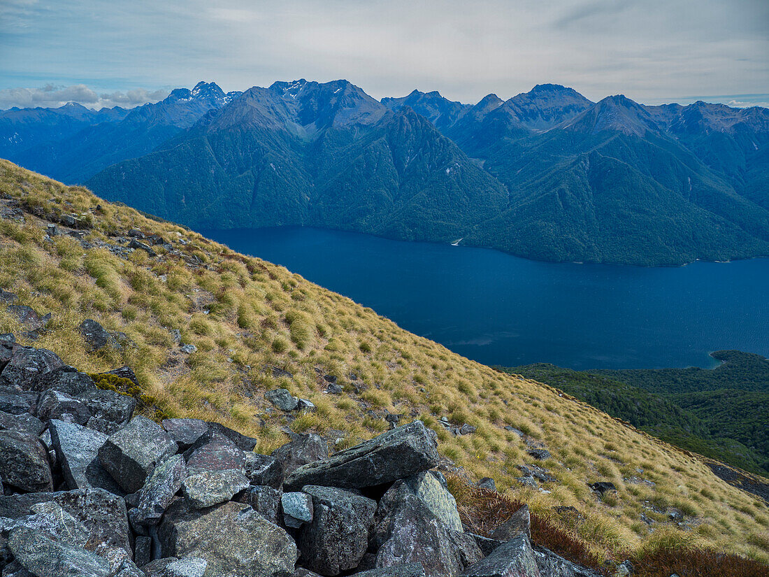 Fjord surrounded by green mountains in Fiordland National Park