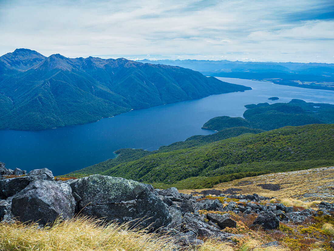 Fjord surrounded by green mountains in Fiordland National Park