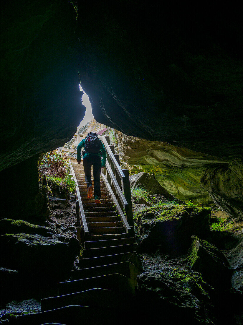 Rückansicht eines Wanderers auf einer Treppe im Fiordland-Nationalpark