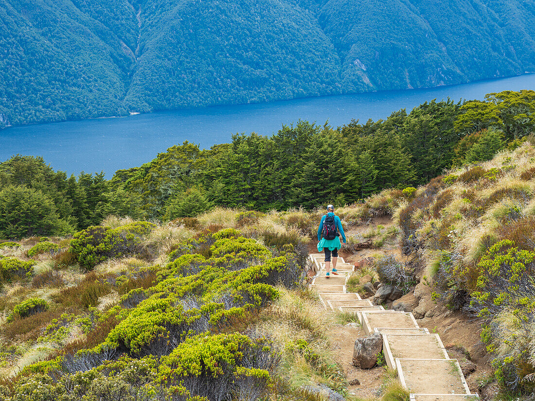 Rear view of female hike descending steps in Fiordland National Park