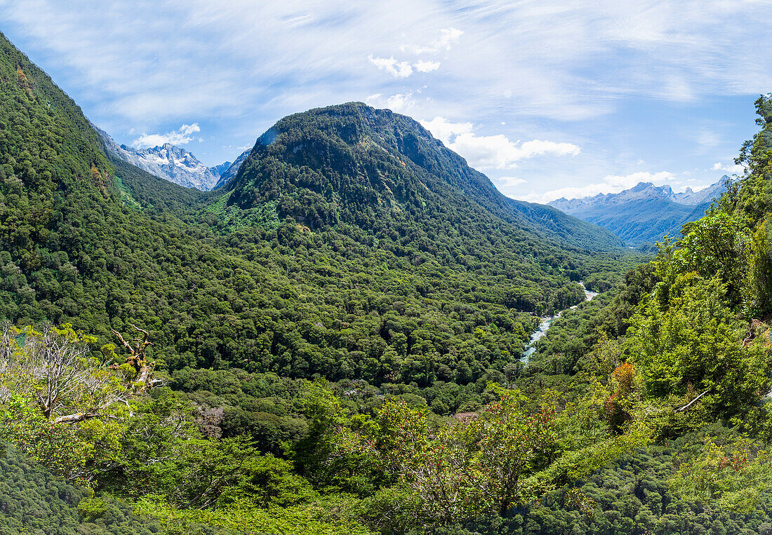 Grüne bewaldete Hügel im Fiordland-Nationalpark