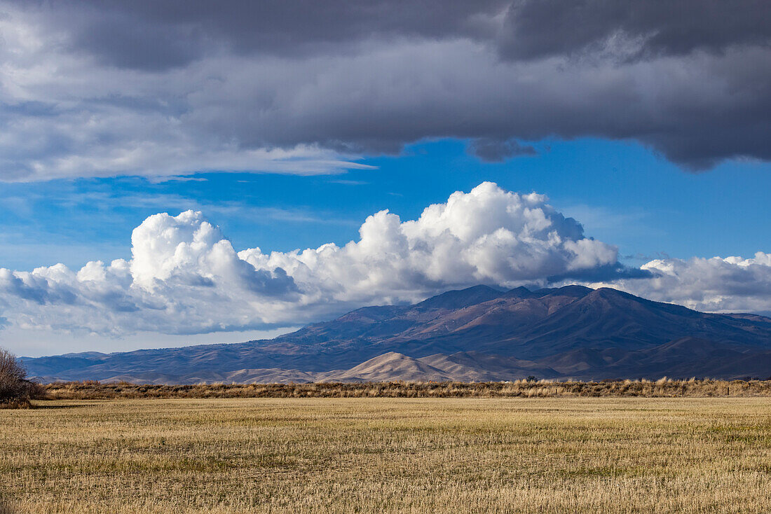 Puffy clouds over mountains with grassy field in foreground