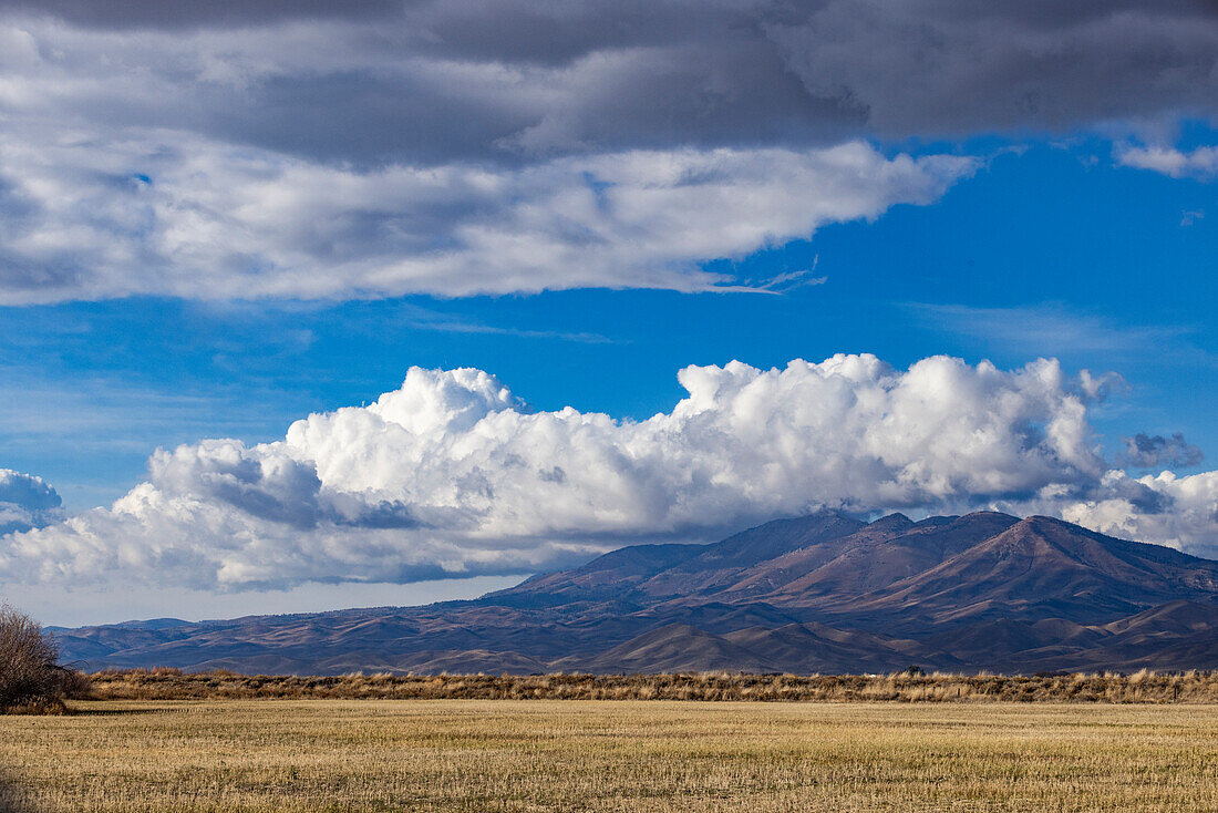 Puffy clouds over mountains with grassy field in foreground