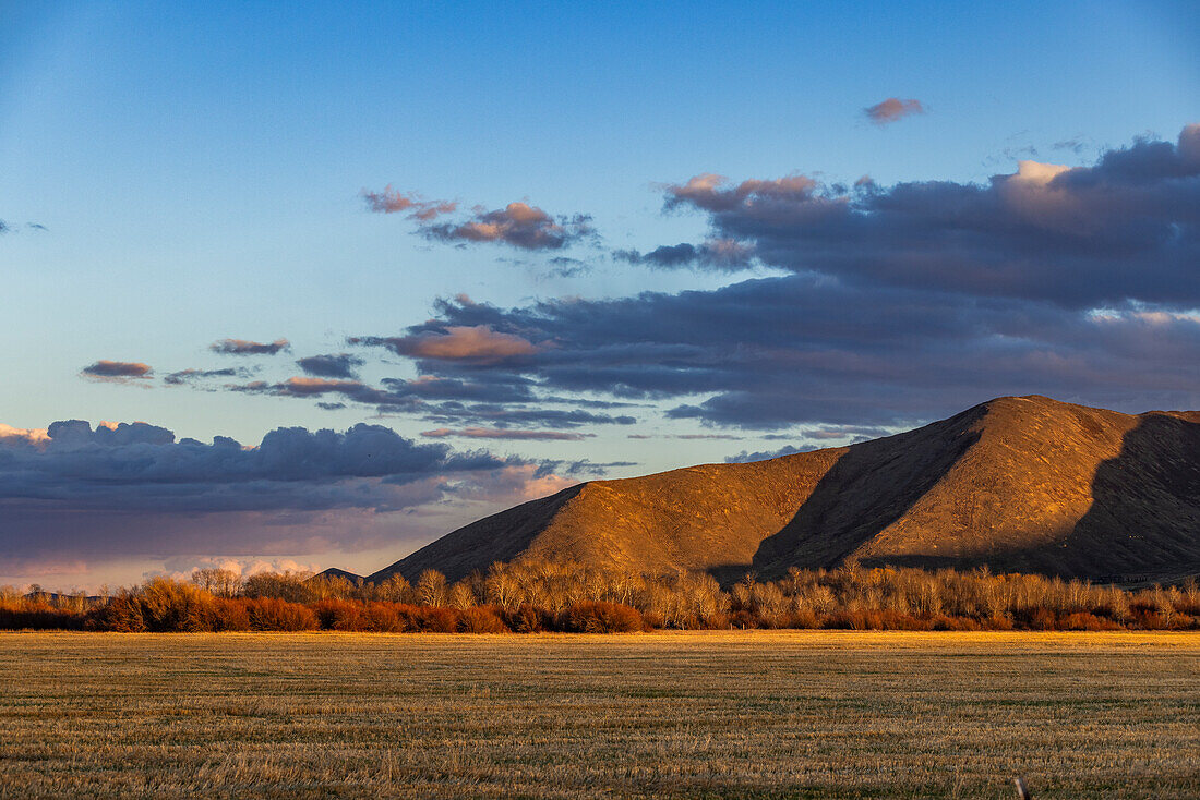 Field and hills at sunset