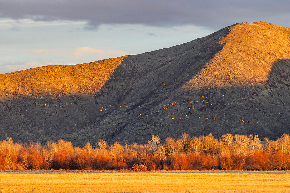 Ländliche Landschaft mit Bäumen und Hügeln bei Sonnenuntergang