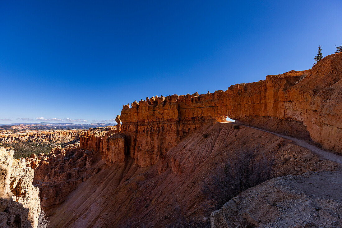 Hoodoo-Felsen im Bryce Canyon National Park an einem sonnigen Tag