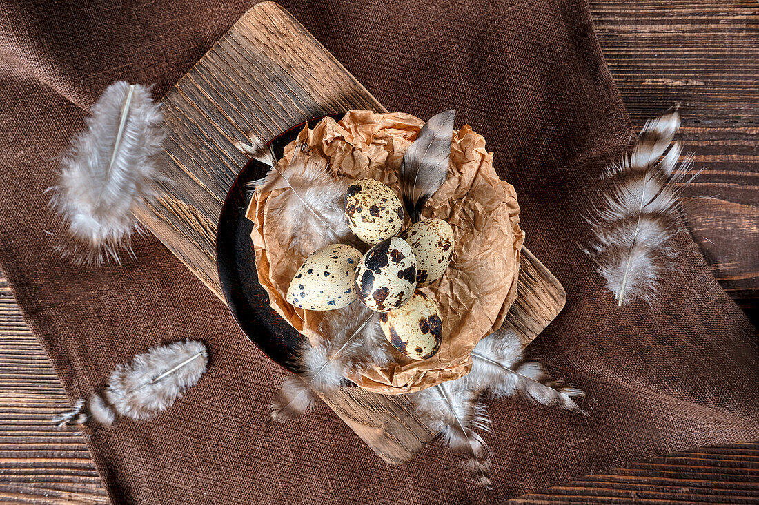 Quail eggs in paper nest with floating feathers