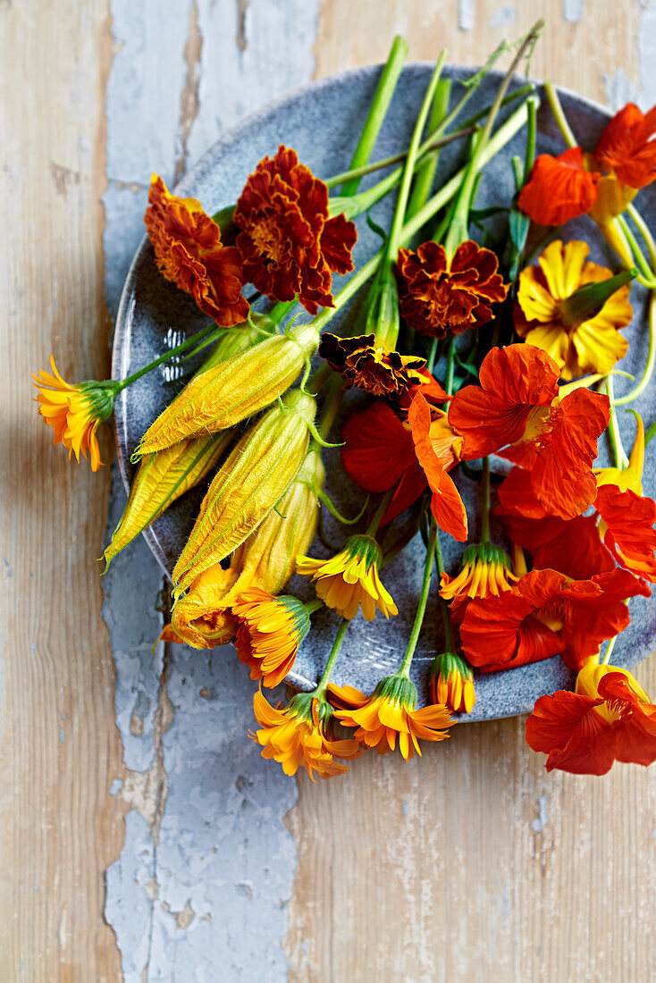 Essbare Blüten auf Teller: Ringelblume, Kapuzinerkresse, Zucchiniblüten, Tagetes