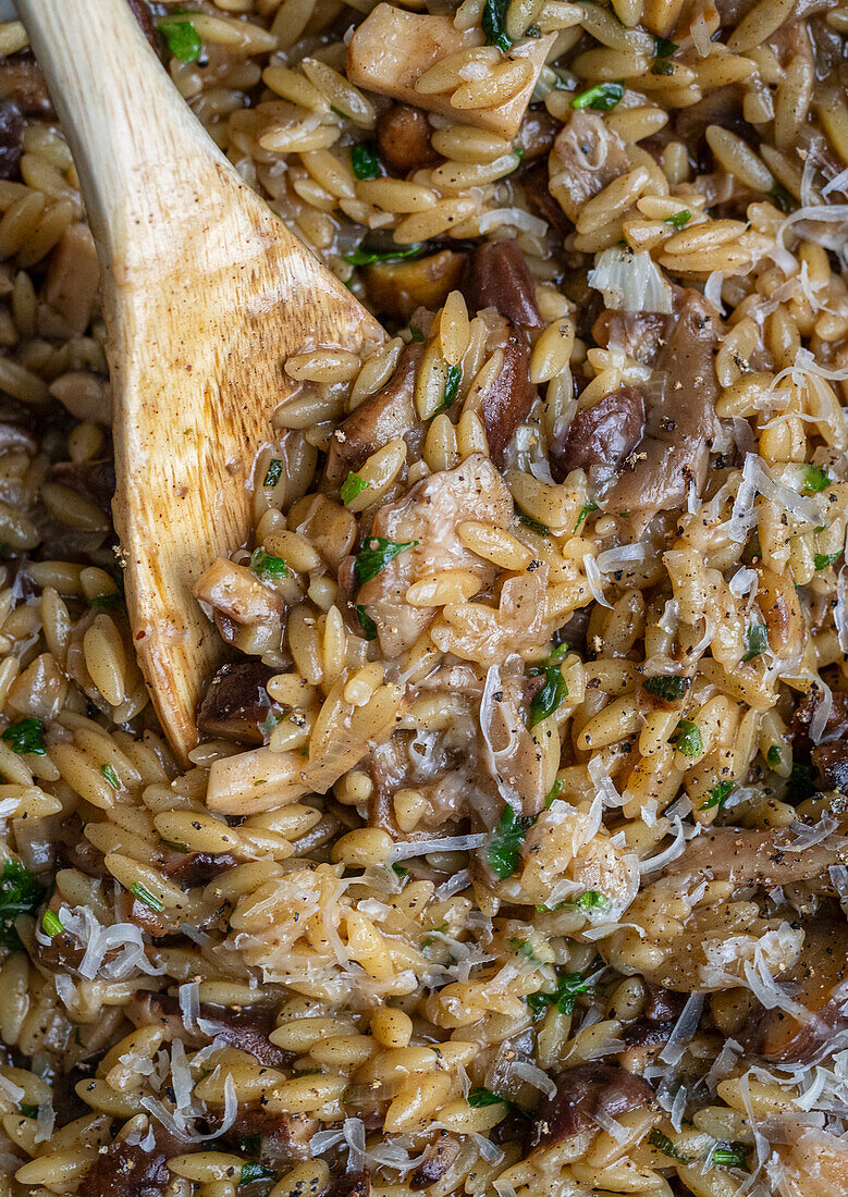 Orzo mit Pilzen