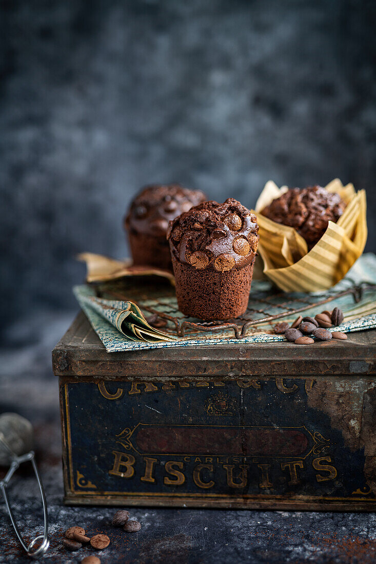 Chocolate Chip Muffins