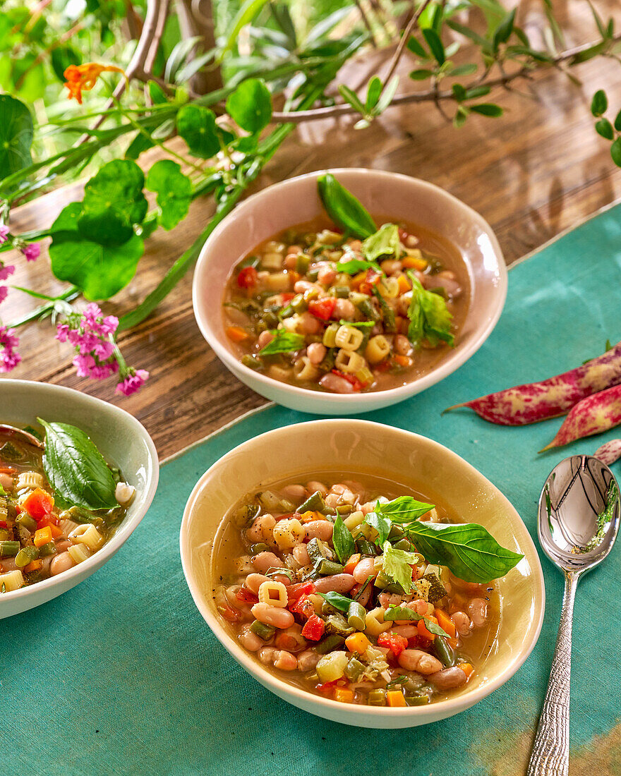 Minestrone mit buntem Gemüse