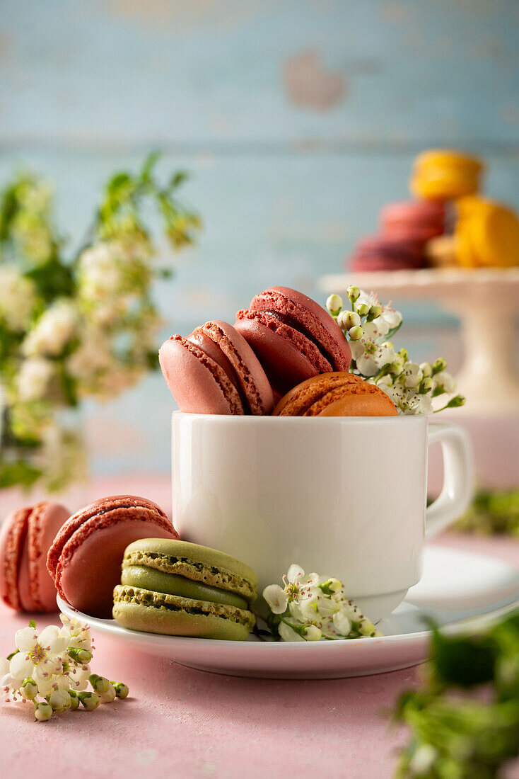 Colourful macarons