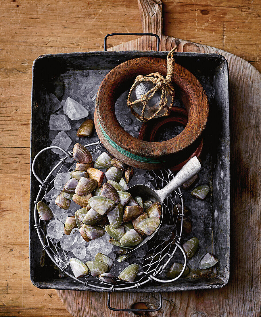 Fresh mussels on ice in a metal bowl