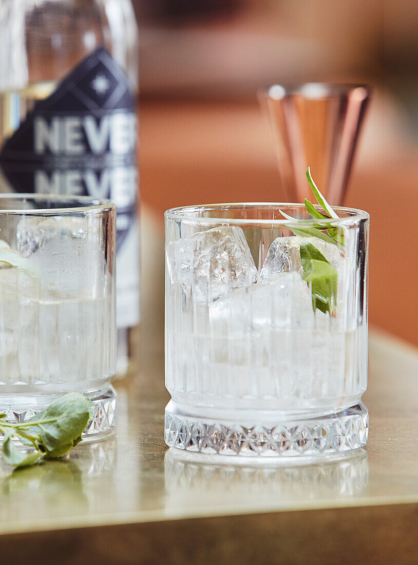 Martini on ice and fresh herbs