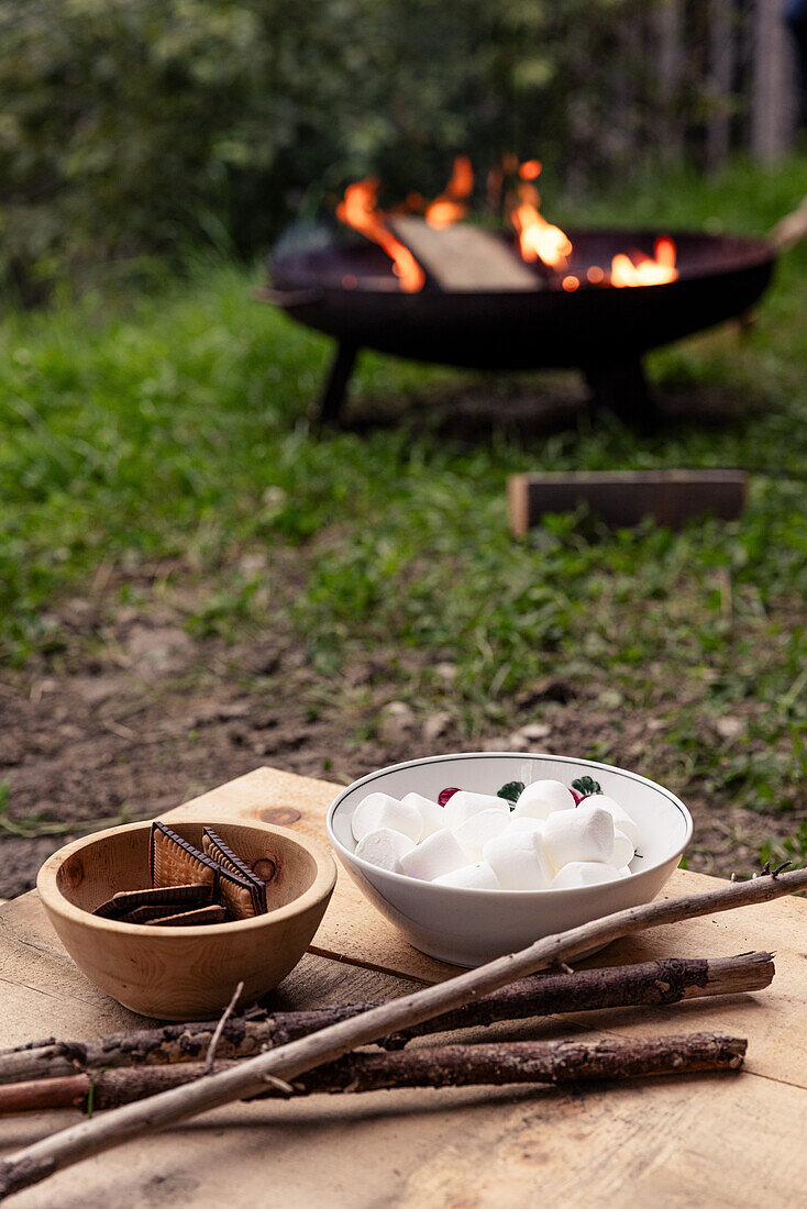 Ingredients for s'mores around a campfire