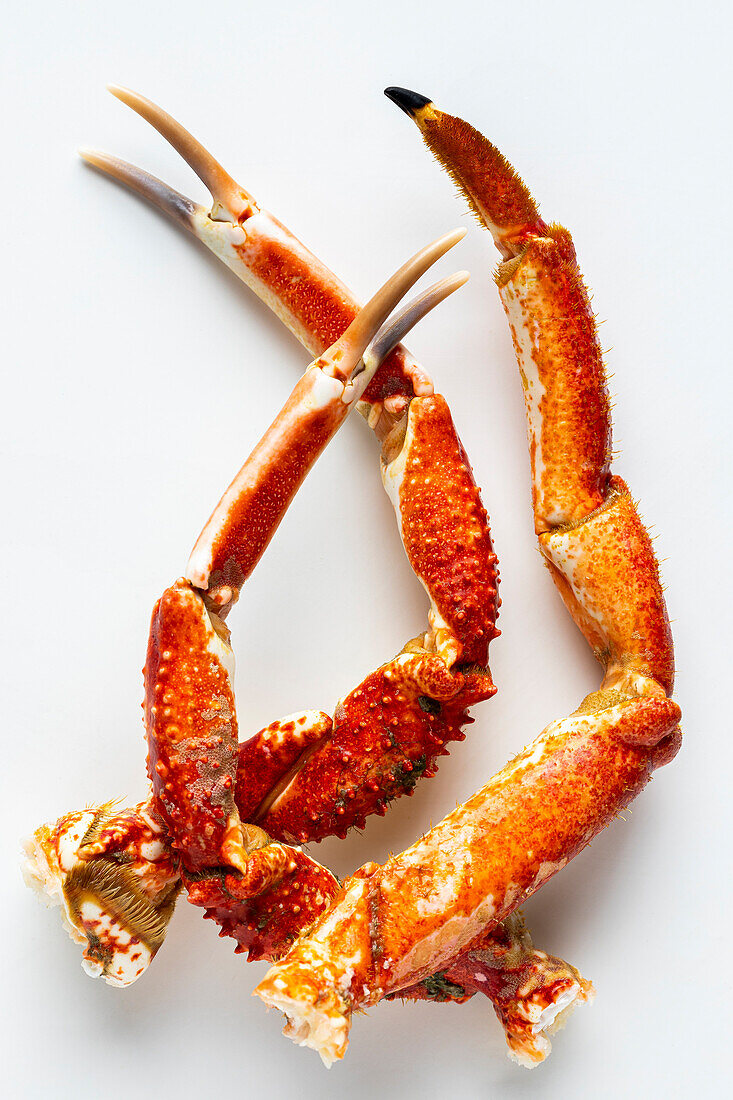 Raw, fresh sea spider crab legs