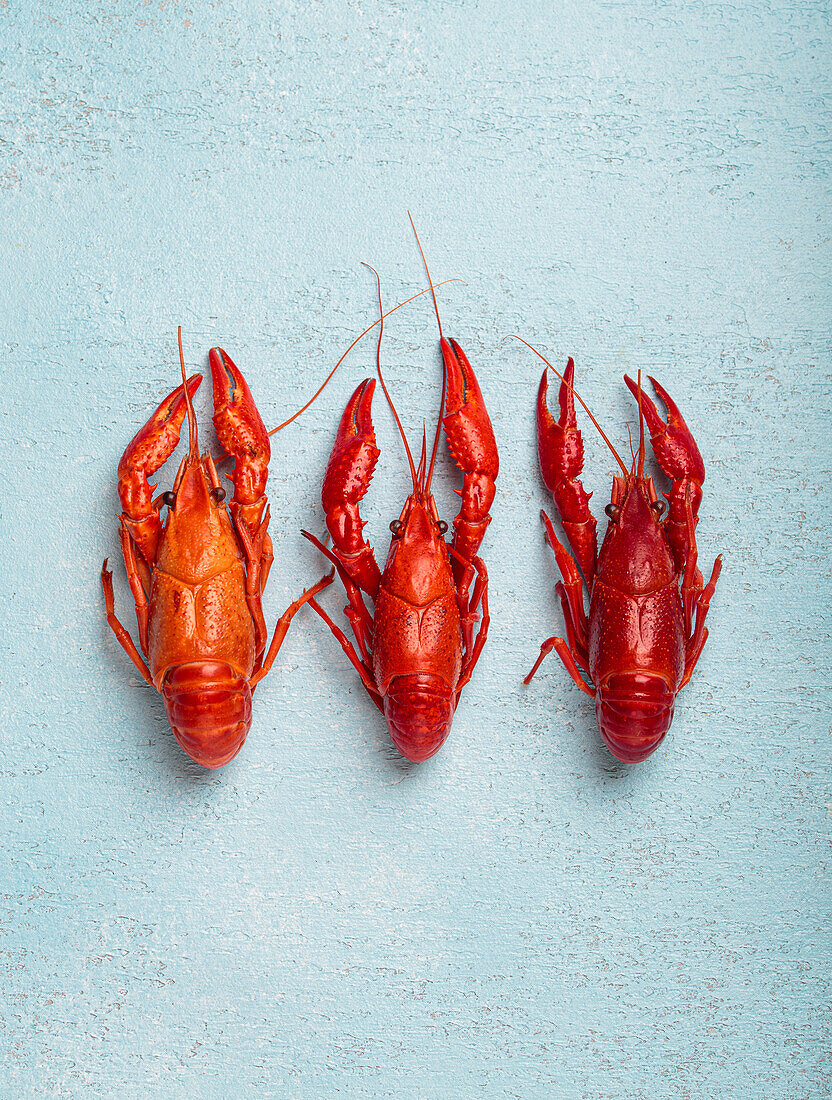 Three cooked crayfish on a blue background