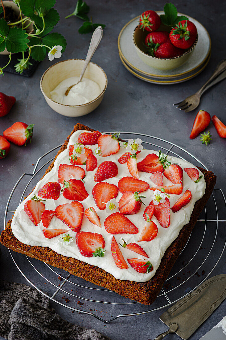 Erdbeer-Brownies mit Sahne und frischen Erdbeeren