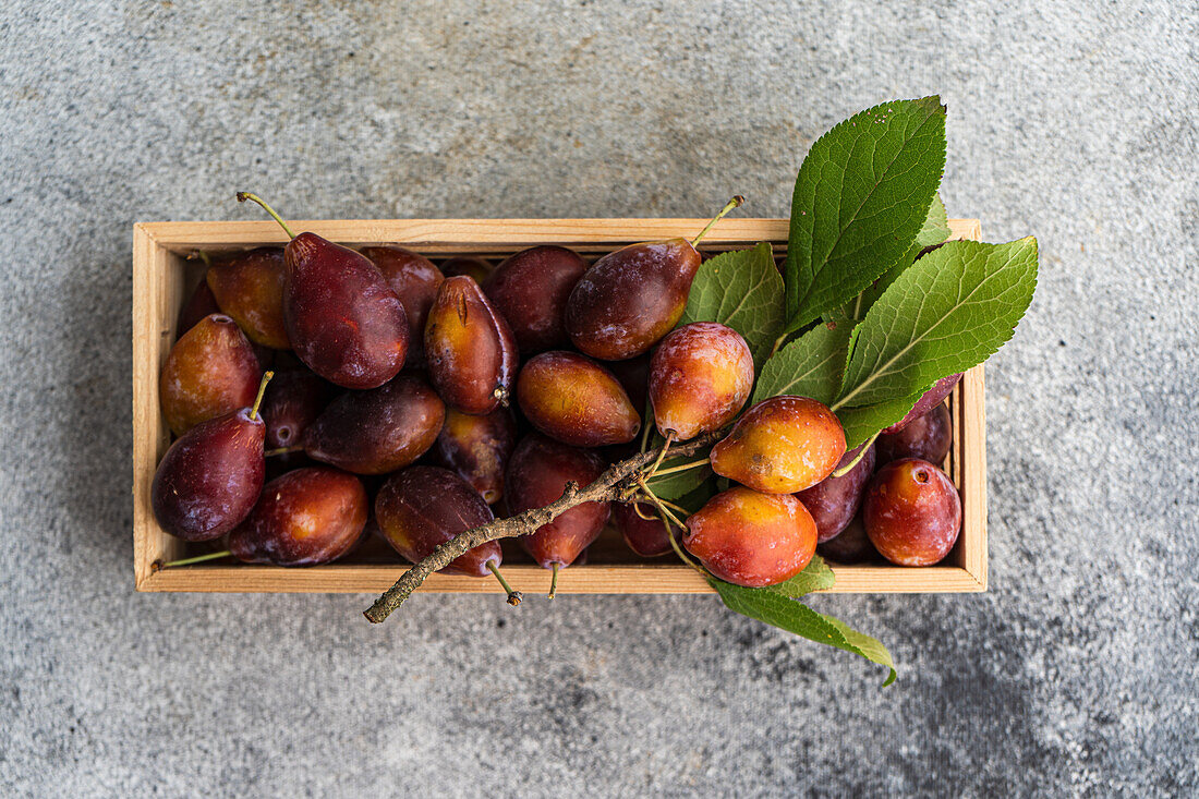 Wooden box with ripe organic plums