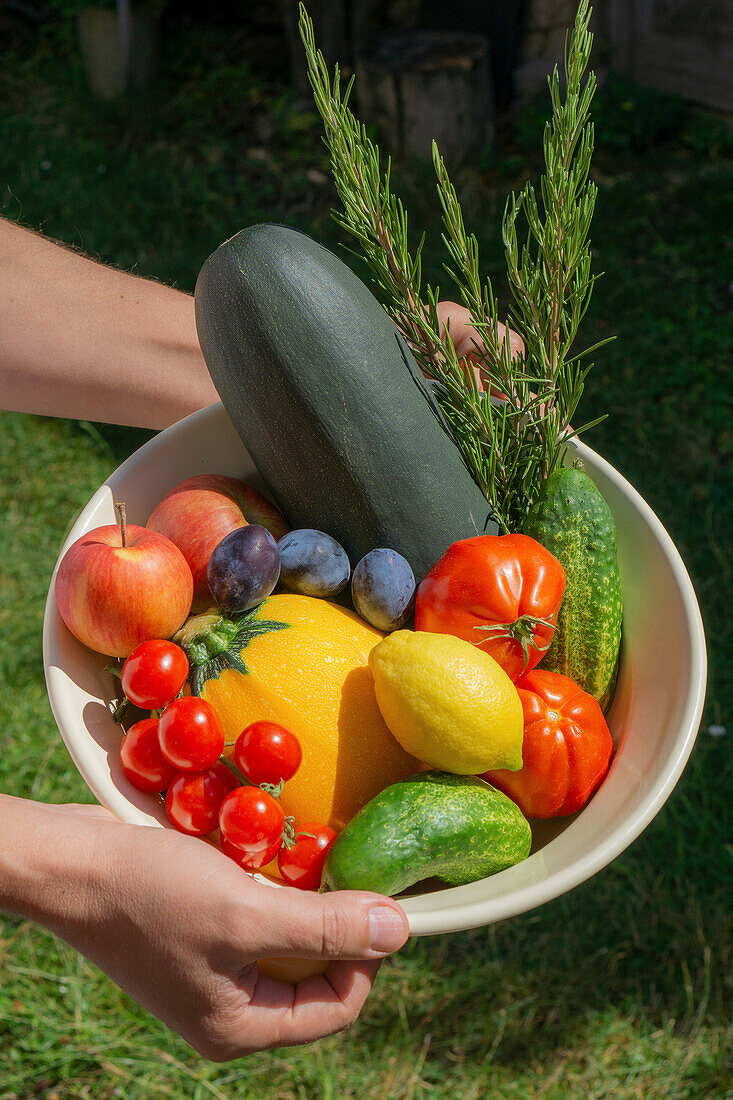 Frisches Obst, Gemüse und Kräuter in Emailleschüssel