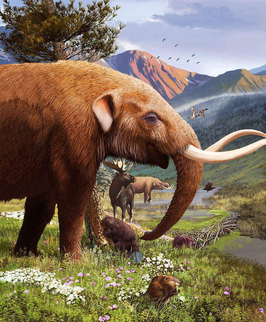 Pleistocene fauna, illustration