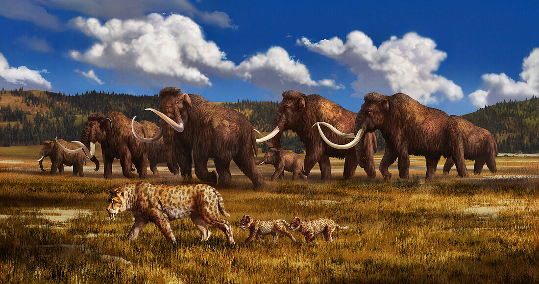 Woolly mammoths and sabre-toothed cats, illustration