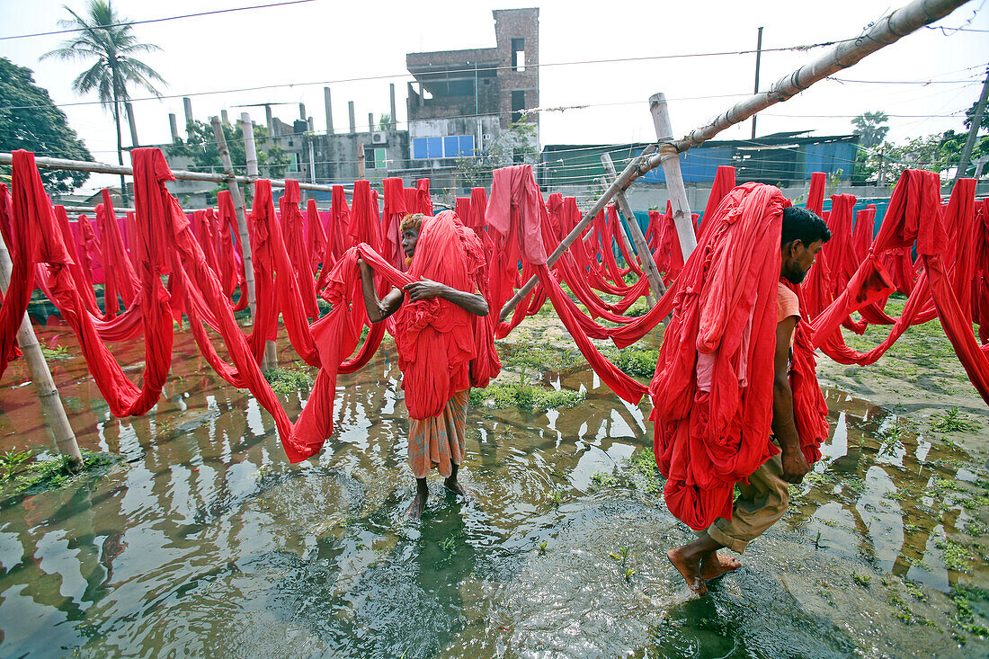 Fabric drying at dyeing factory, Bangladesh