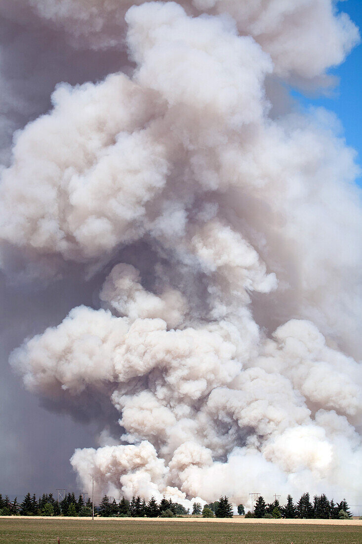 Smoke from burning field, Willamette Valley, Oregon, USA