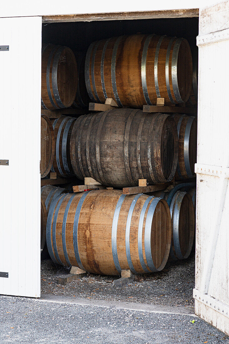 Cognac wooden barrels in the storage room of a distillery