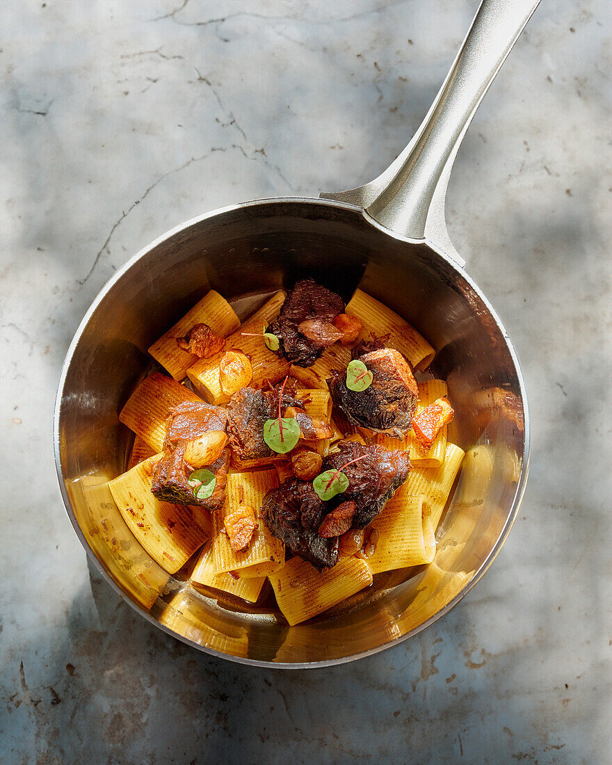 Paccheri mit geschmorter Rinderbacke und Kräutern