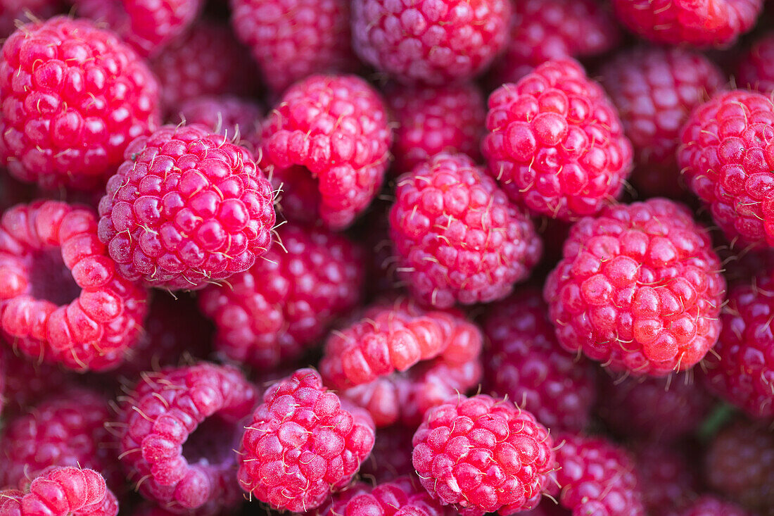 Frische Himbeeren - Nahaufnahme