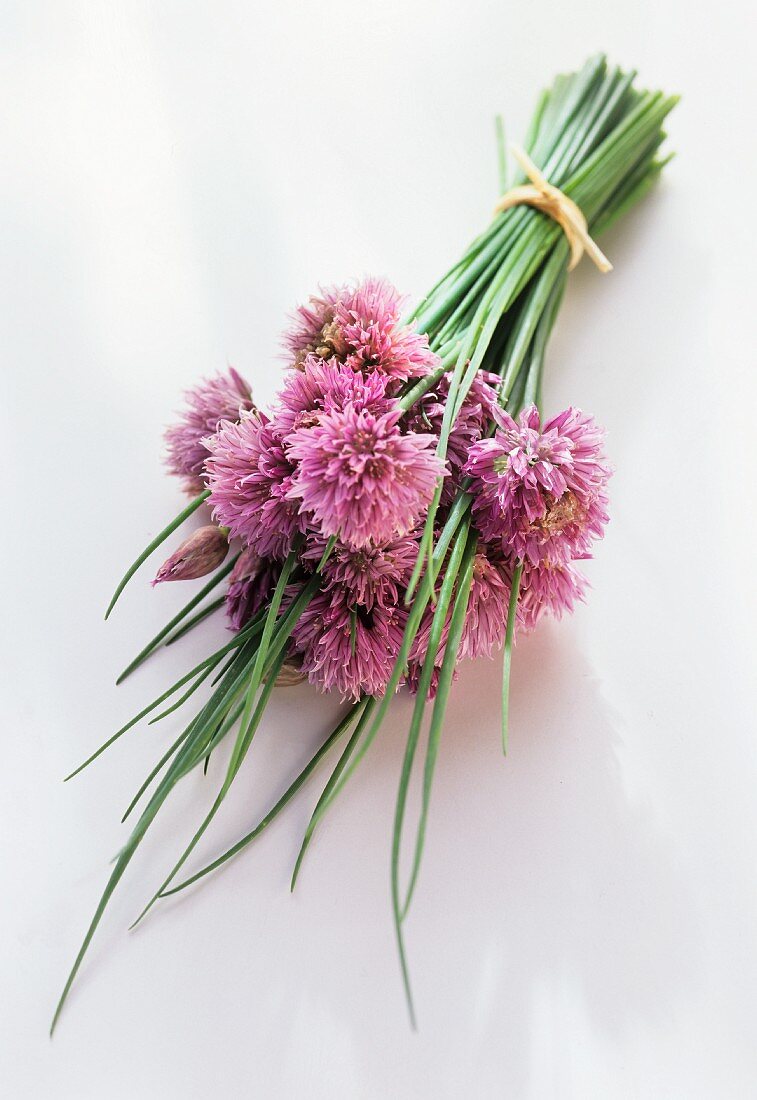 A Bundle of Fresh Chives