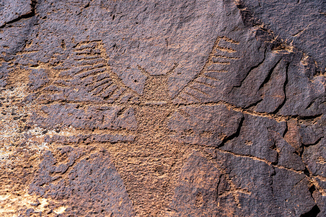 A pre-Hispanic Native American Fremont Culture rock art or petroglyph panel in Daddy's Canyon in Nine Mile Canyon, Utah. This figure is wearing what is known as a rake headdress.