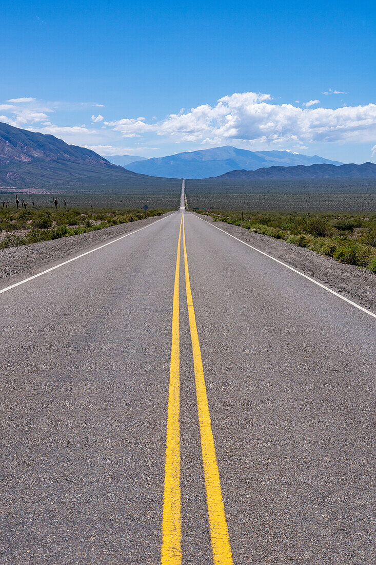 Die Recta del Tin Tin, eine lange, gerade Straße durch den Nationalpark Los Cardones in der Provinz Salta, Argentinien