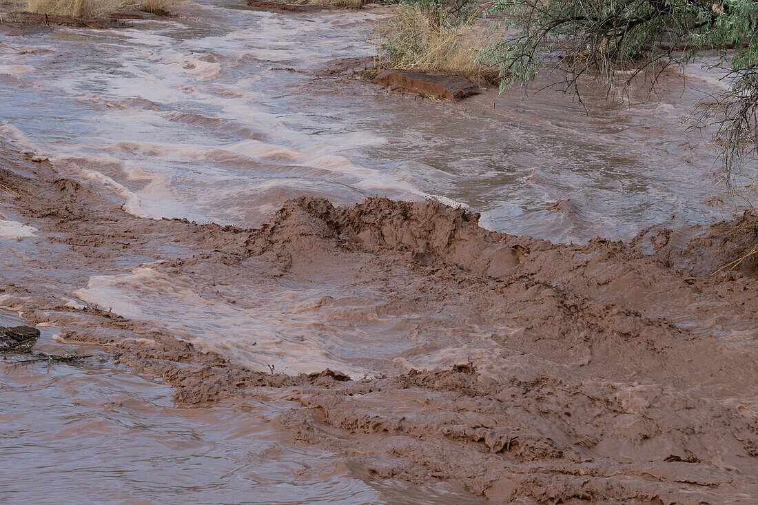 Sturzflut mit Wellen aus schlammigem Wasser nach einem Sommerregen in Moab, Utah