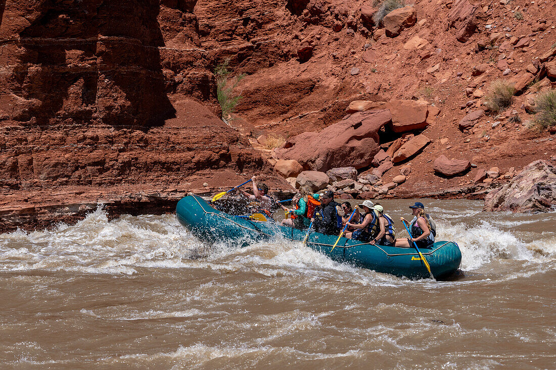 Tourists enjoy a rafting trip through the big waves in White's Rapid on the Colorado River at high water