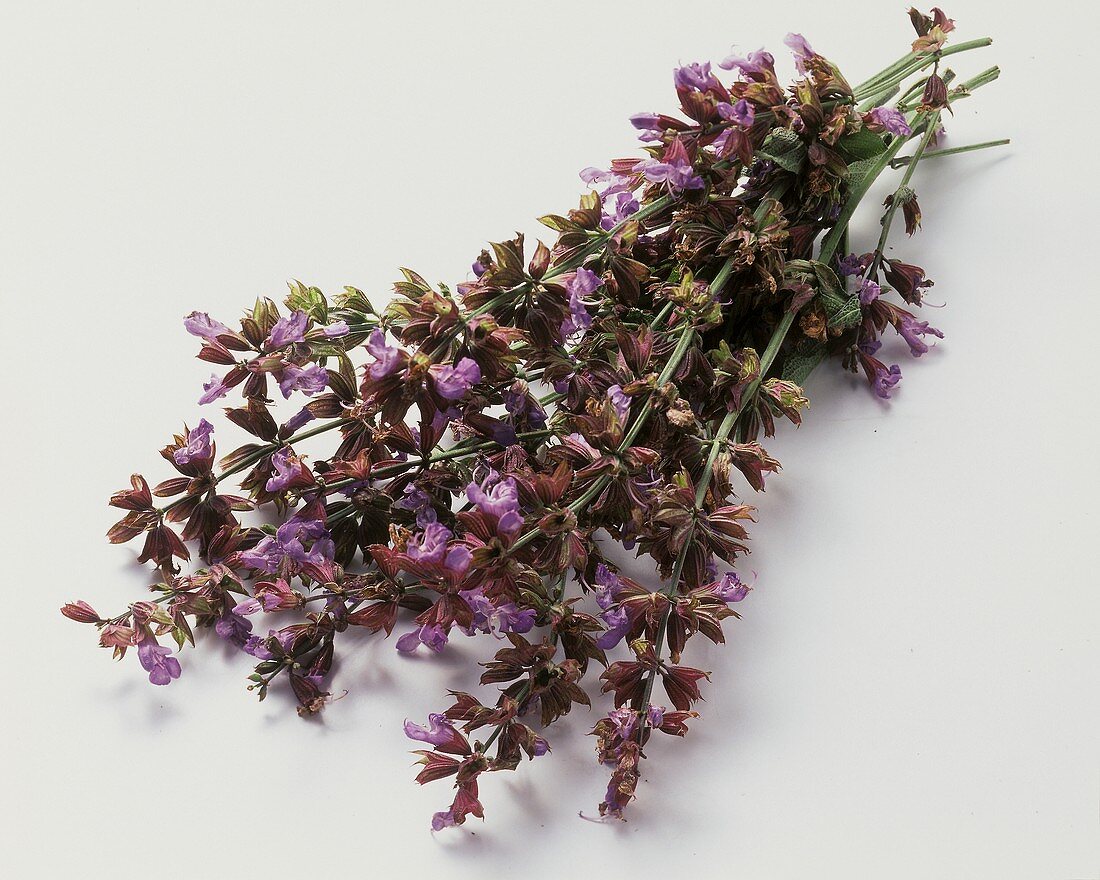 Sprigs of lavender