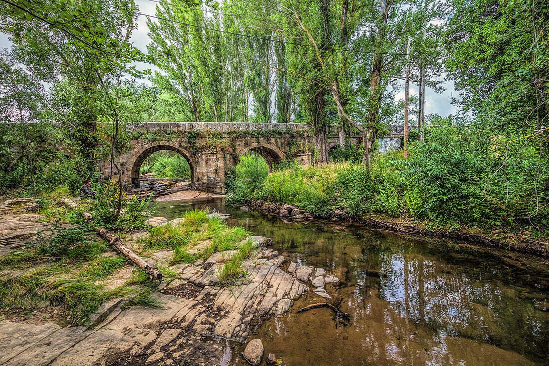 Der ruhige Fluss Tera schlängelt sich unter einer Steinbrücke durch üppiges Grün in Almarza, Soria, und zeigt die Schönheit der Natur