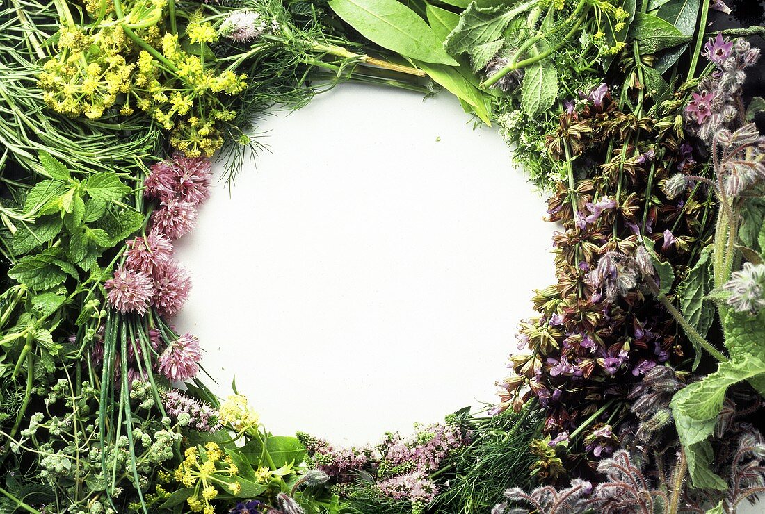 Assortment of Fresh Herbs Arranged in a Circle