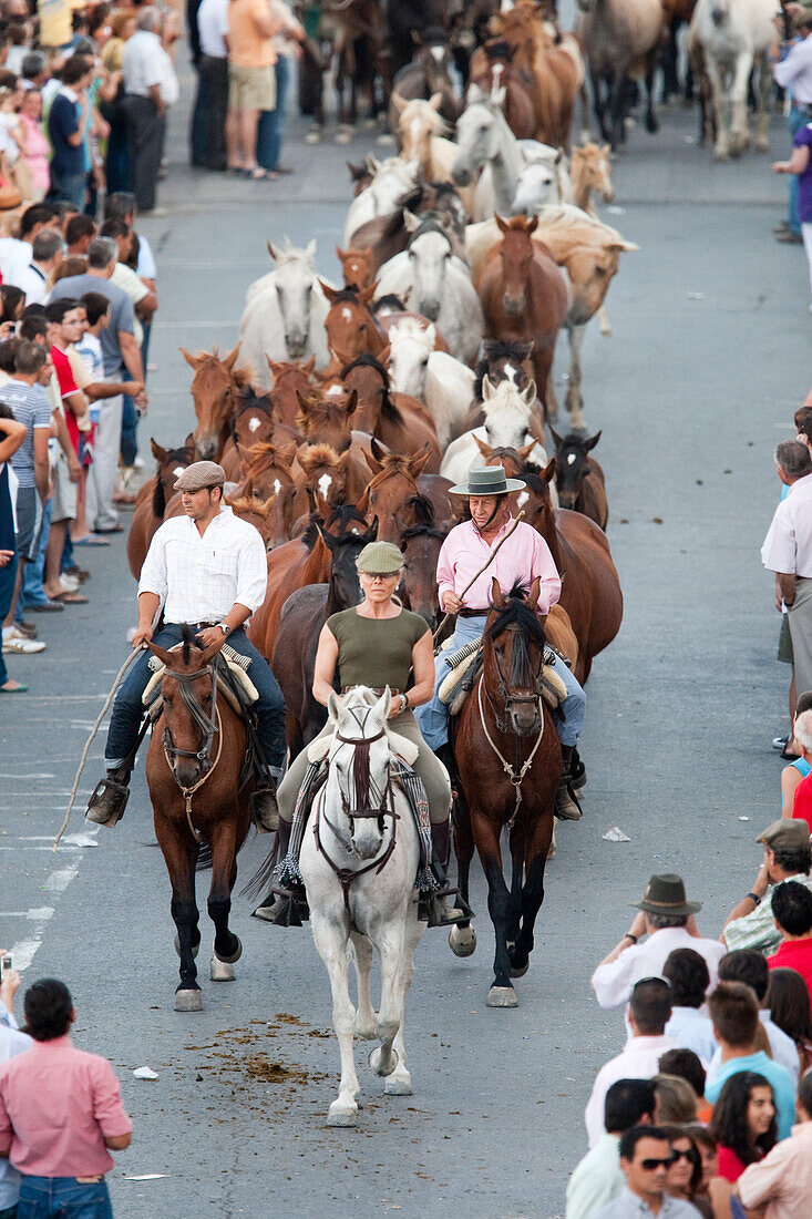 Almonte, Spain, June 26 2009, Every June 26, riders guide wild mares and colts from Doñana marshland into Almonte, celebrating the historic Saca de las Yeguas festival.