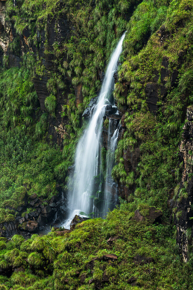 Der Nationalpark Iguazu Falls in Argentinien, von Brasilien aus gesehen. Ein UNESCO-Welterbe. Das Bild zeigt einen kleinen, unbekannten Wasserfall, umgeben von tropischer Vegetation